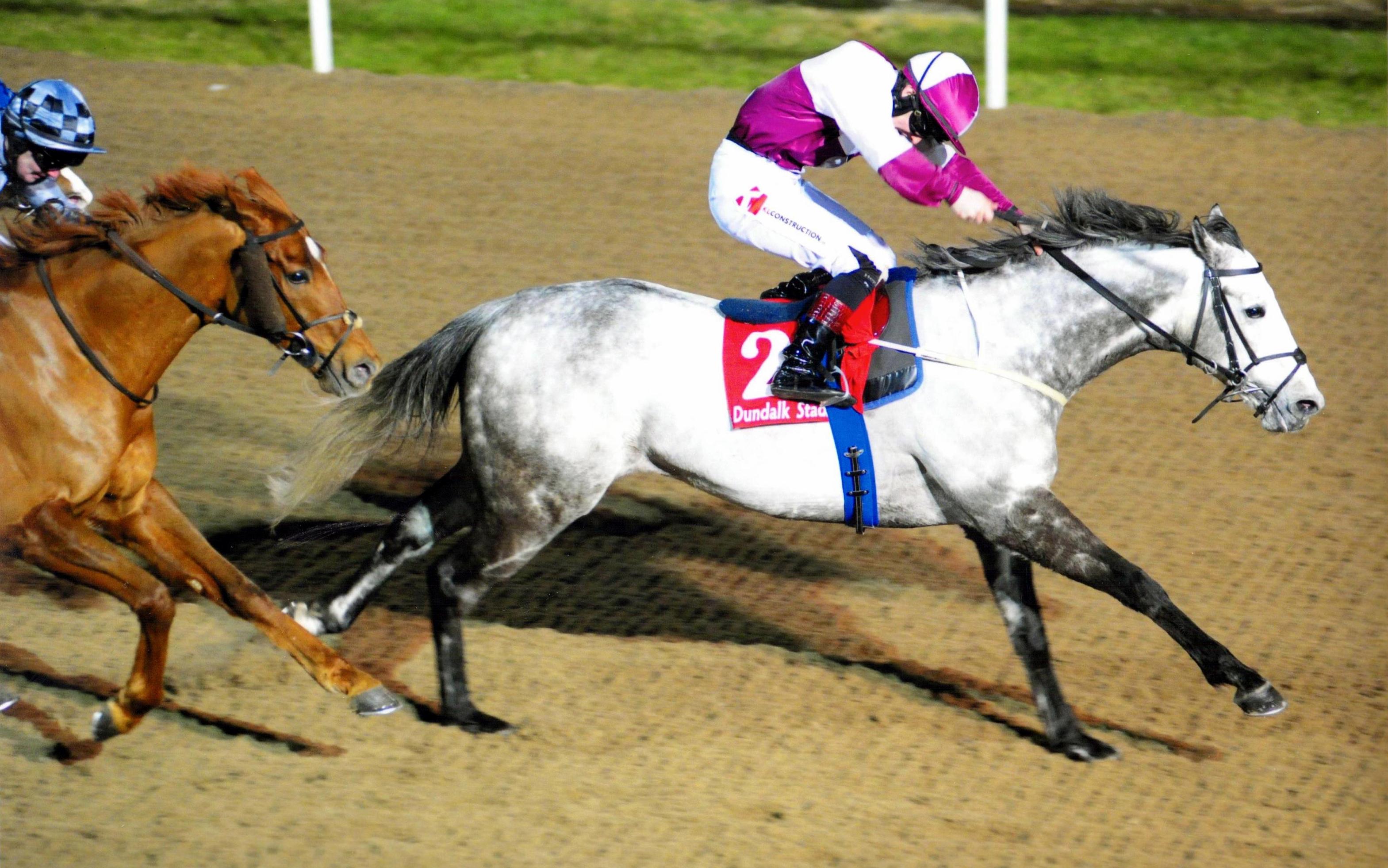 TOCCATA BLUE makes it a lucky Friday 13th at Dundalk 13th Janua
